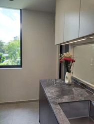 Leedon Green (D10), Condominium #537886781